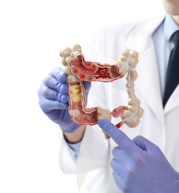 Gastroenterologia Digestiva