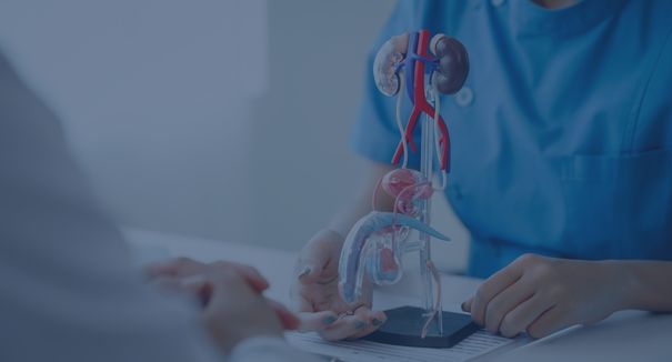 Urologia